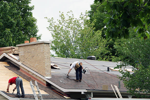 Roof Gutter Cleaning in Gunnison, CO