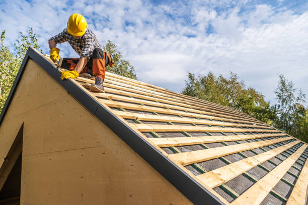 Best Roof Gutter Cleaning  in Gunnison, CO