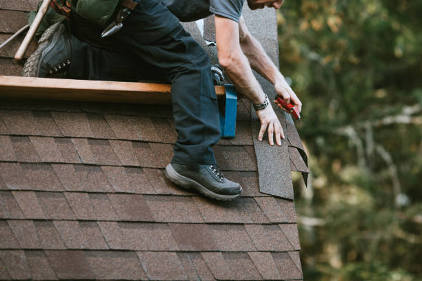 Best Roof Gutter Cleaning  in Gunnison, CO